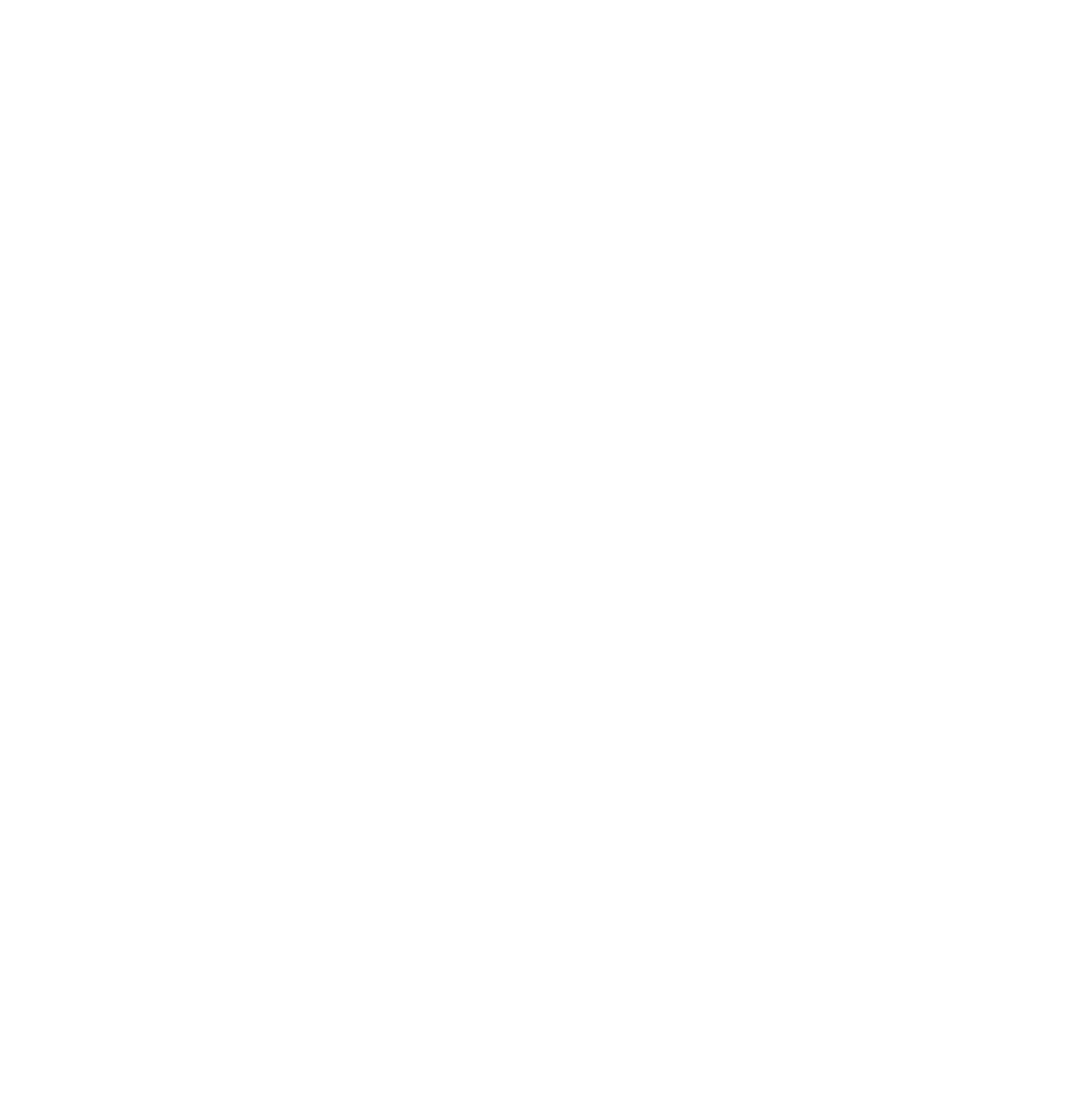 Nicol Estefany